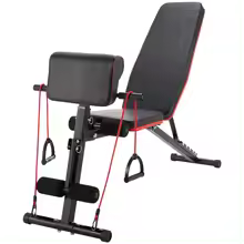 Foldable Folding Dumbbell Bench Multifunctional Bodybuilding Weight Bench for Full Training Fitness Machine Gym Home (5490 SG001 GYM CHAIR D7)