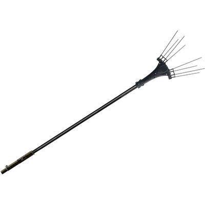 COGLIOLIVE BATTERIA GIULIA AIMA