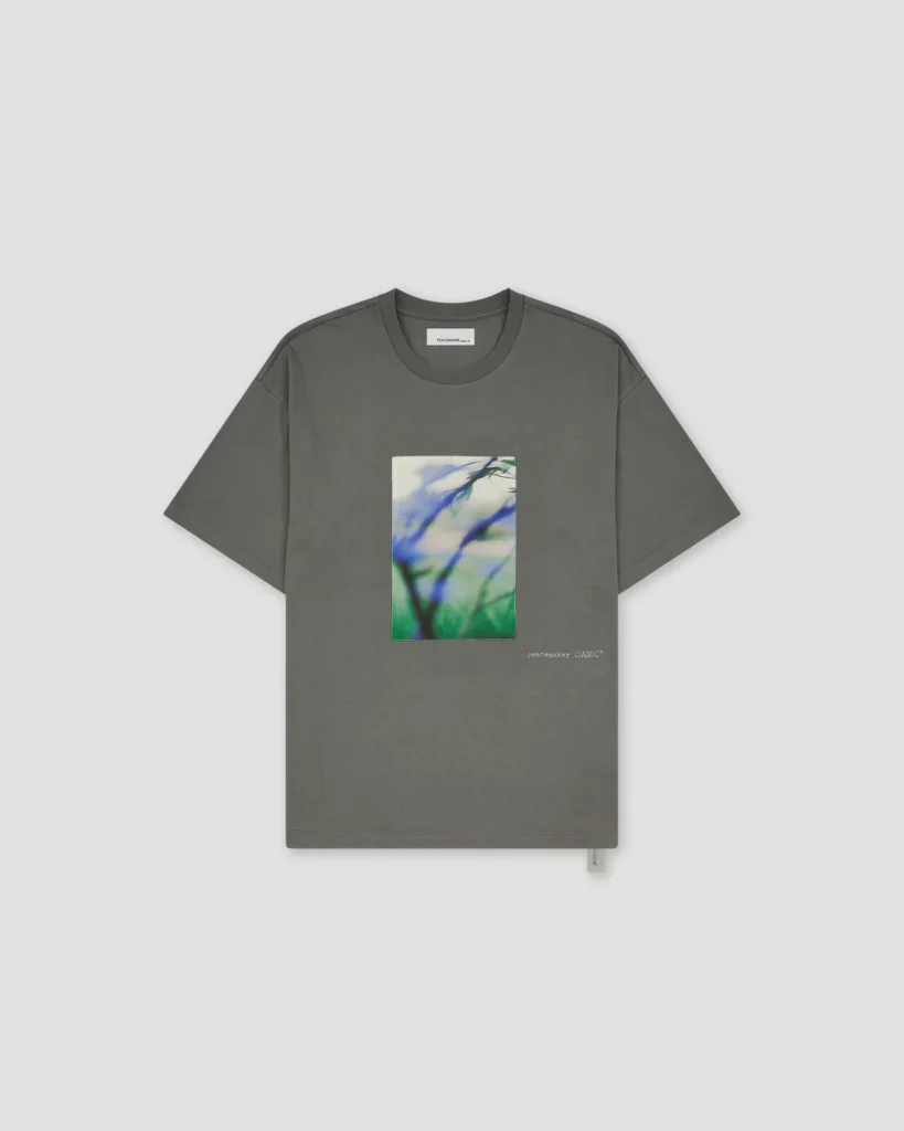 T shirt grigia con stampa