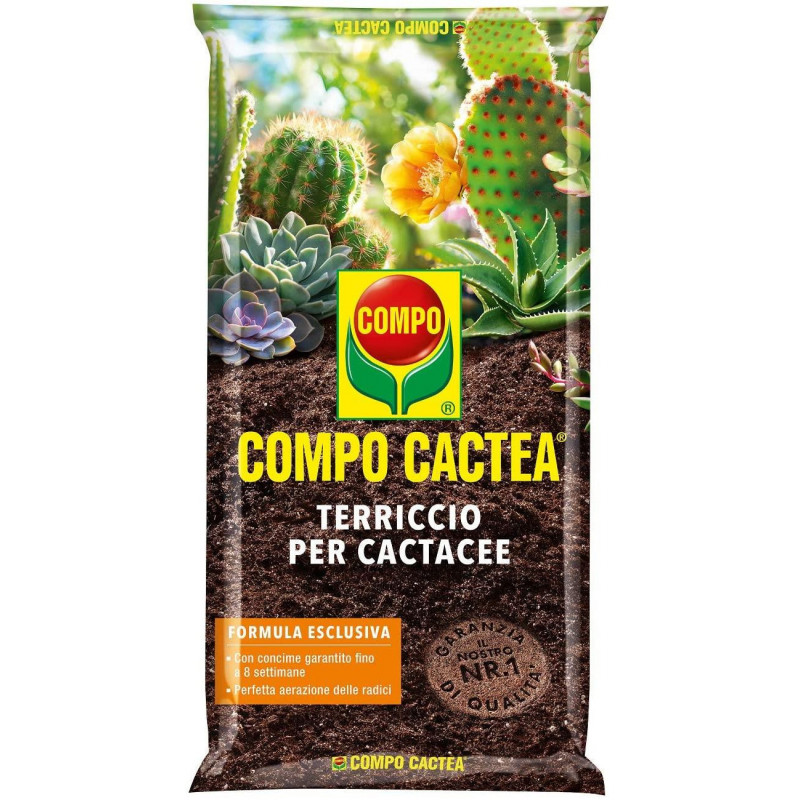 Terriccio substrato per piante grasse cactus compo cactea 5 lt