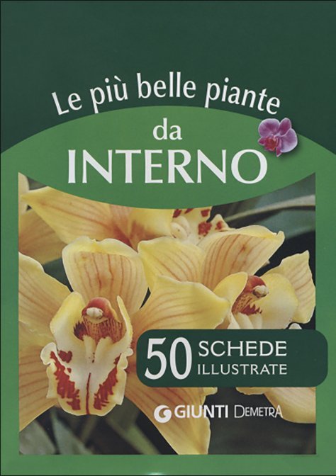 Le più Belle Piante da Interno