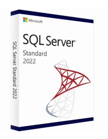 Microsoft SQL Server 2022 Standard Licenza a Vita